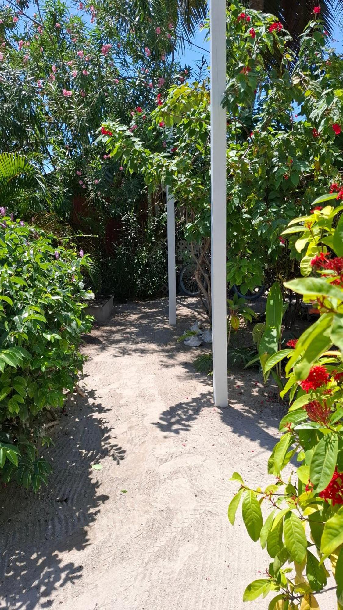 Amanda'S Place Casa Amancer - Sea View, Pool And Tropical Garden キー・カーカー エクステリア 写真