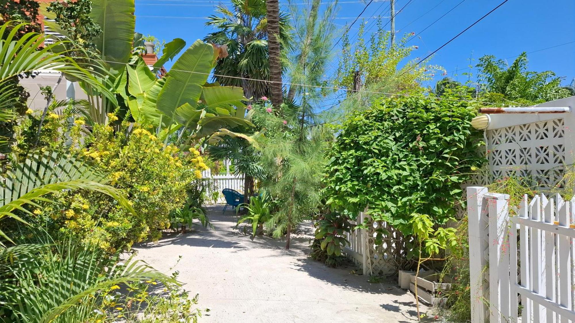 Amanda'S Place Casa Amancer - Sea View, Pool And Tropical Garden キー・カーカー エクステリア 写真