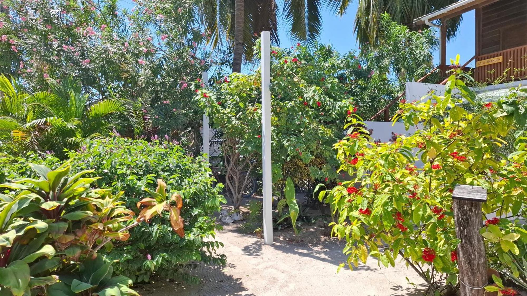 Amanda'S Place Casa Amancer - Sea View, Pool And Tropical Garden キー・カーカー エクステリア 写真