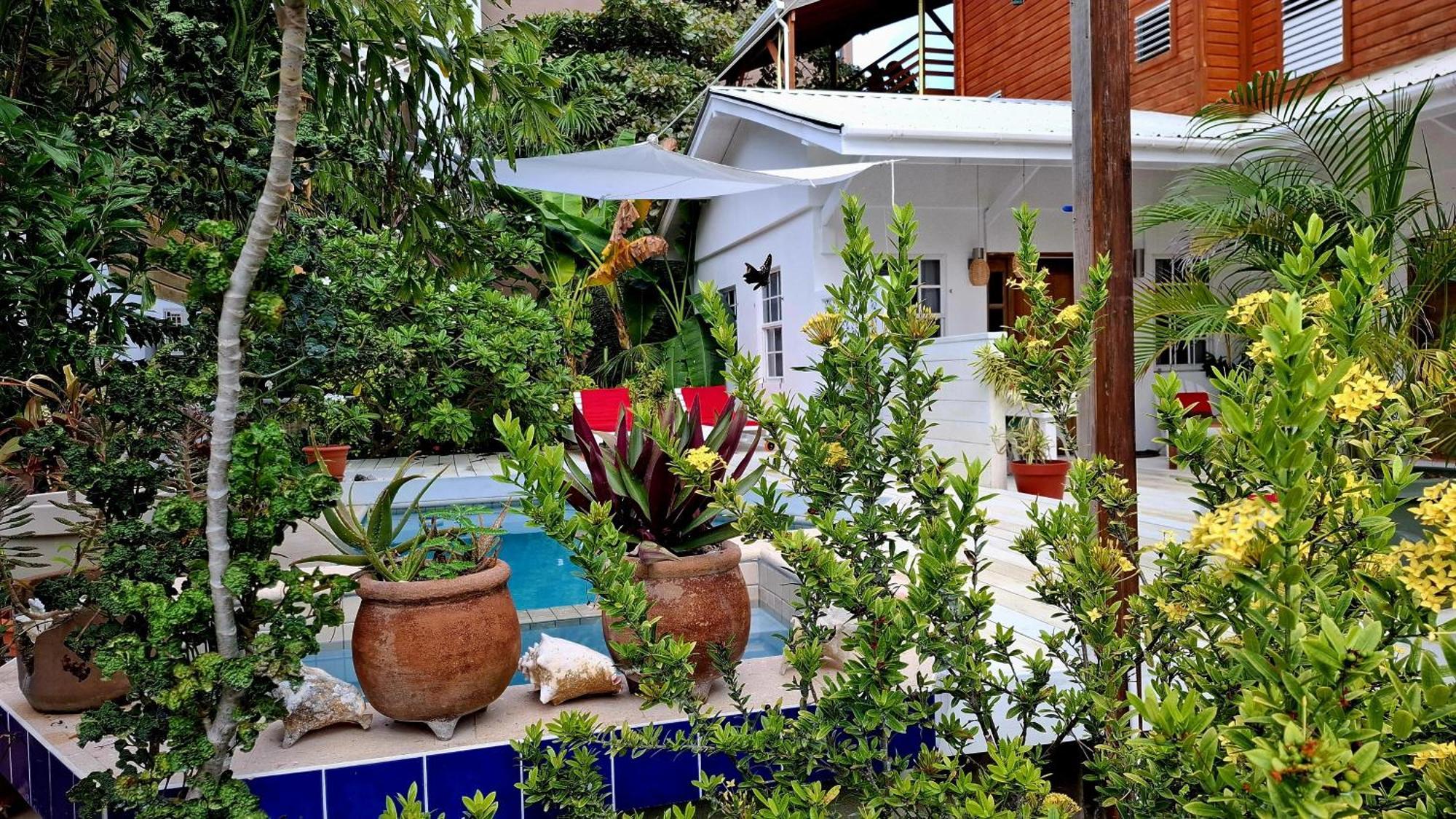 Amanda'S Place Casa Amancer - Sea View, Pool And Tropical Garden キー・カーカー エクステリア 写真